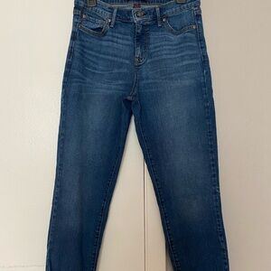 Gloria Vanderbilt Womens Boyfriends Blue Denim Jeans Size 4
